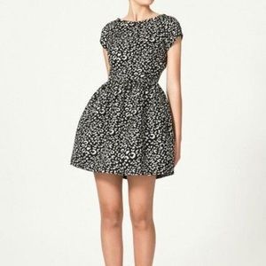 Zara • Tulip Black & White Dress